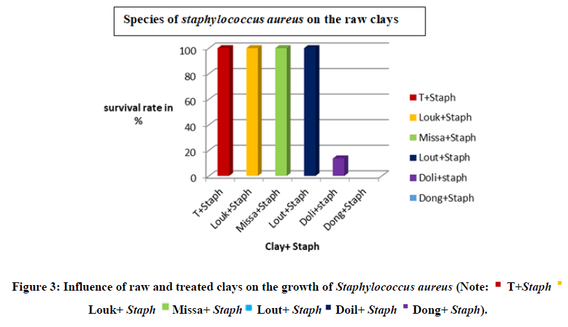 chemical-pharmaceutical-clays