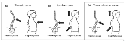 curr-pediatr-exercises