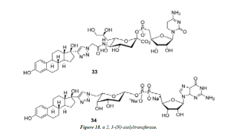 pharmaceutical-chemistry-sialyltransferase