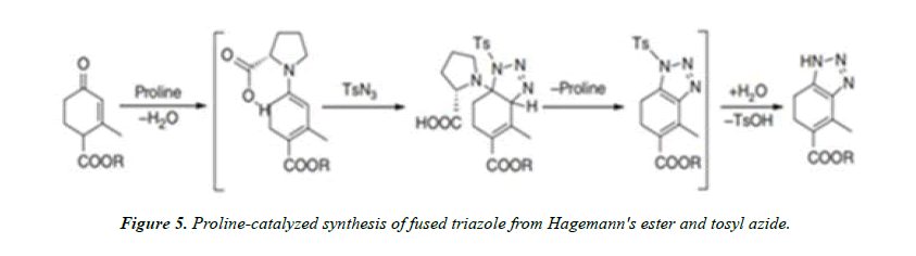 pharmaceutical-chemistry-triazole