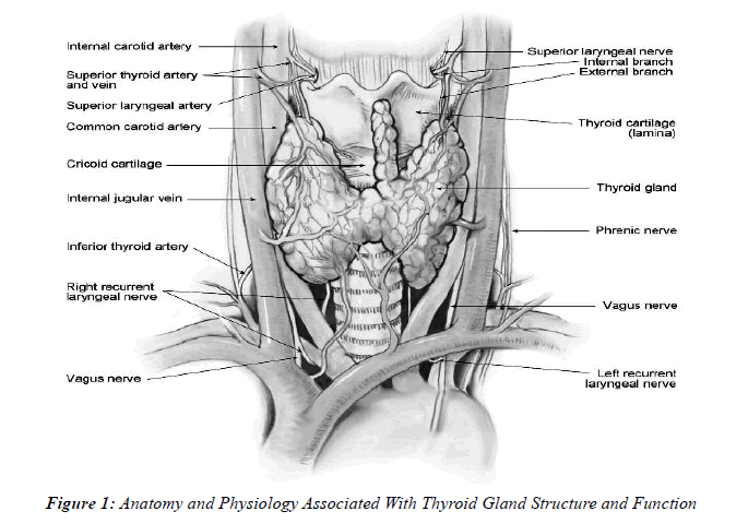 Anesthesiology-Clinical-Thyroid