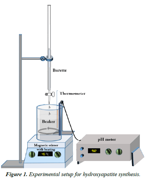 Rapid synthesis, characterization, and studies of hydroxyapatitenanoparticles. - 웹