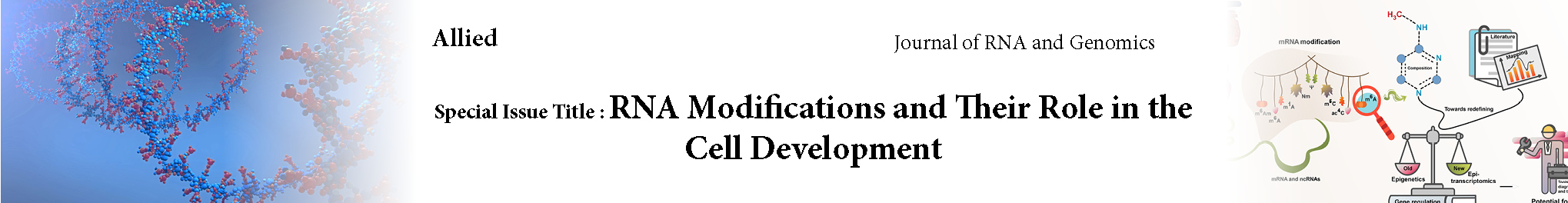 313-rna-modifications-and-their-role-in-the-cell-development.jpg