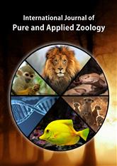 Internationale Zeitschrift für reine und angewandte Zoologie