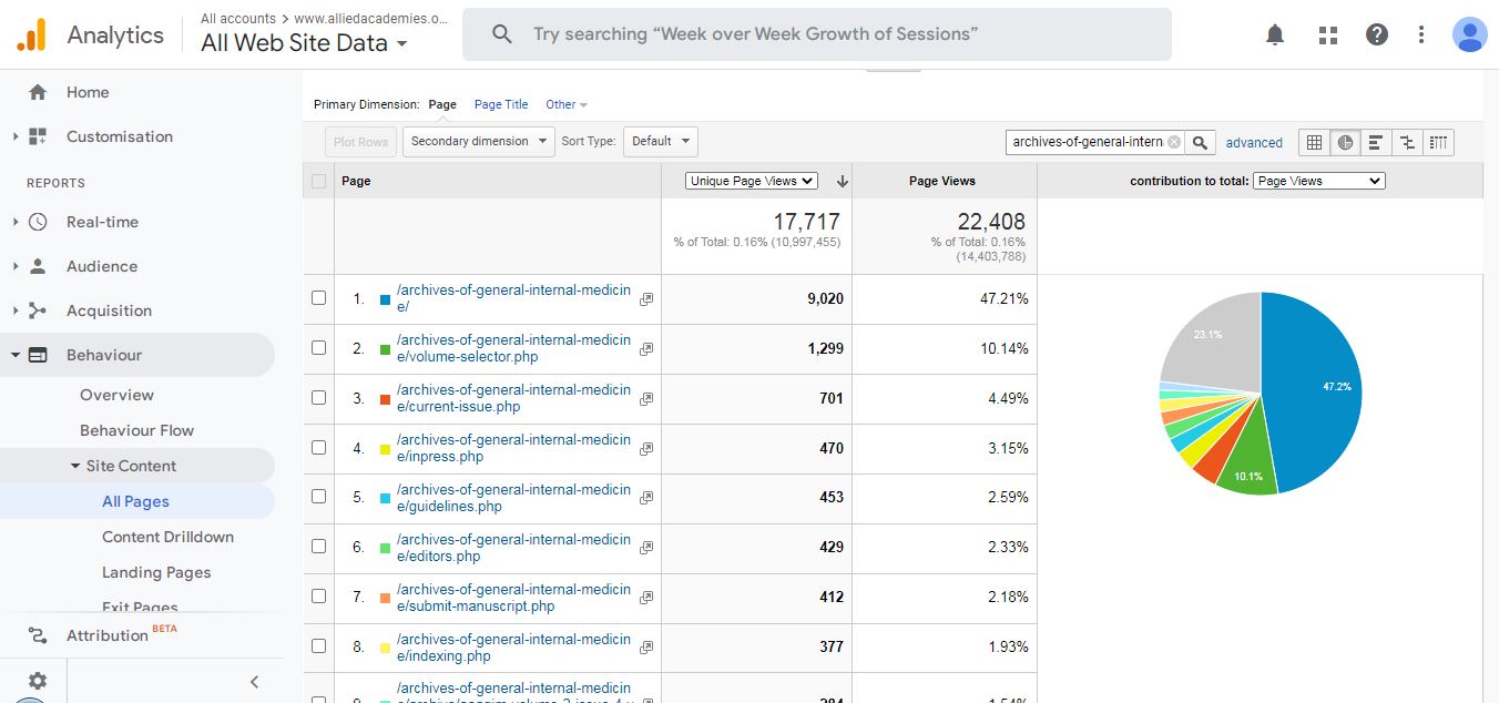 Visitor Analysis Report