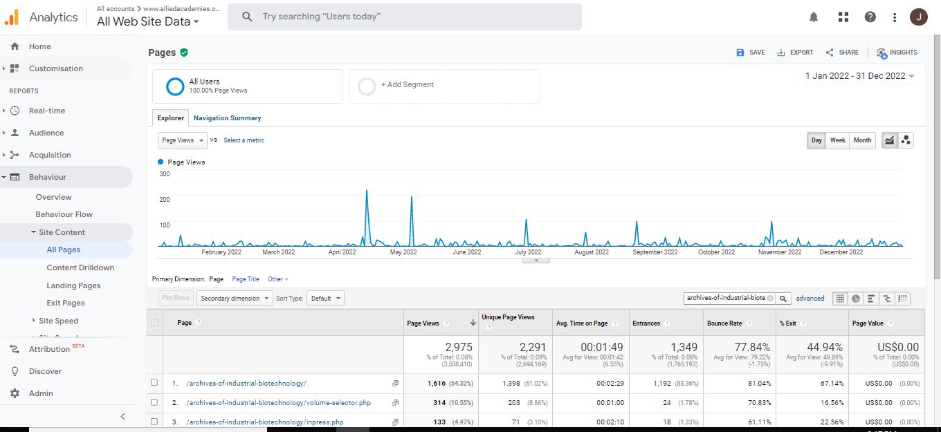 Visitor Analysis Report