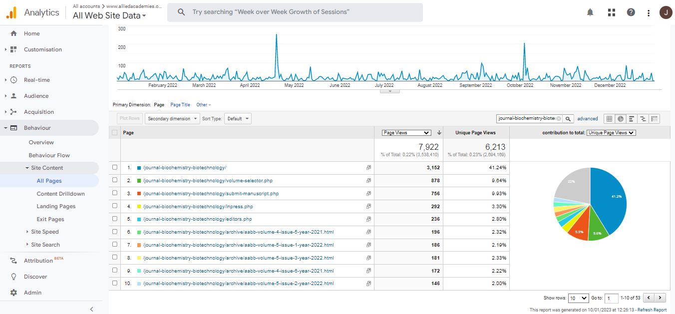 Visitor Analysis Report