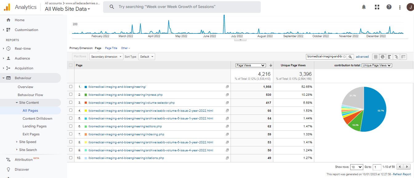 Visitor Analysis Report