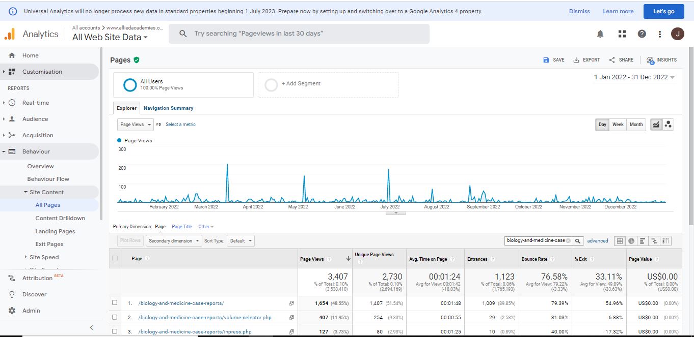 Visitor Analysis Report