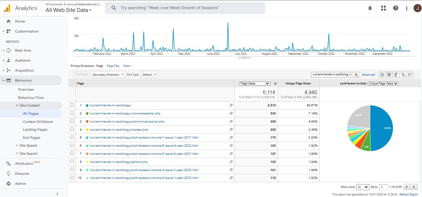 Visitor Analysis Report