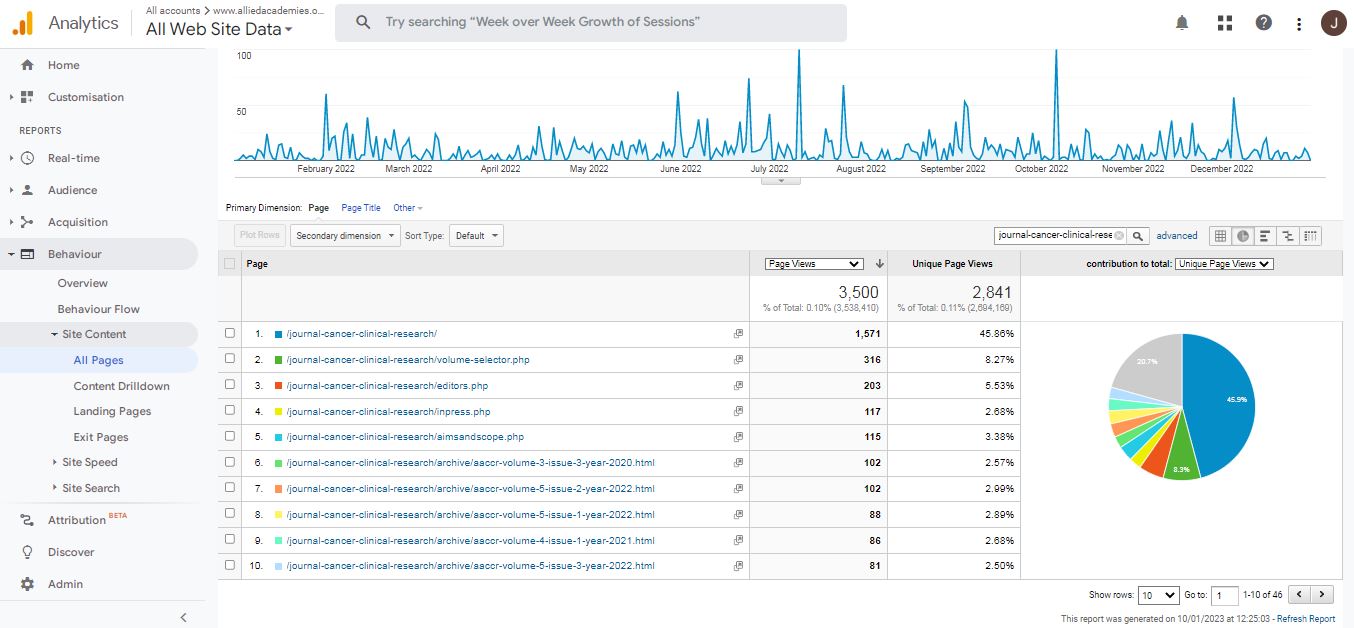 Visitor Analysis Report