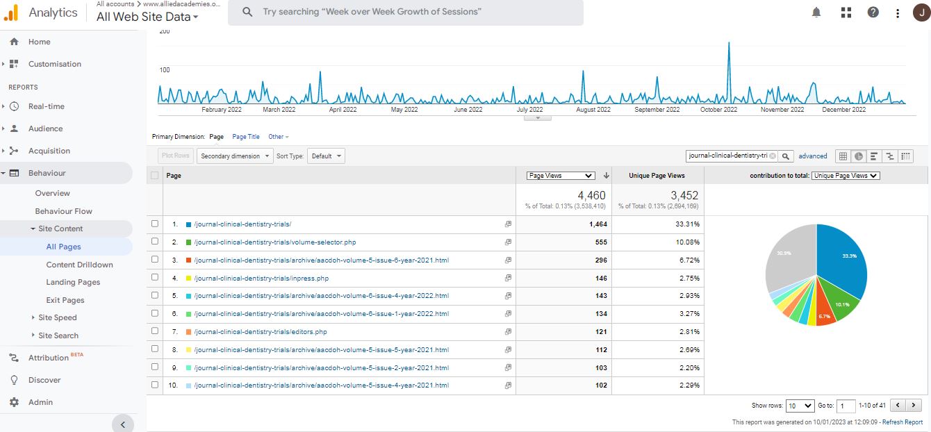 Visitor Analysis Report