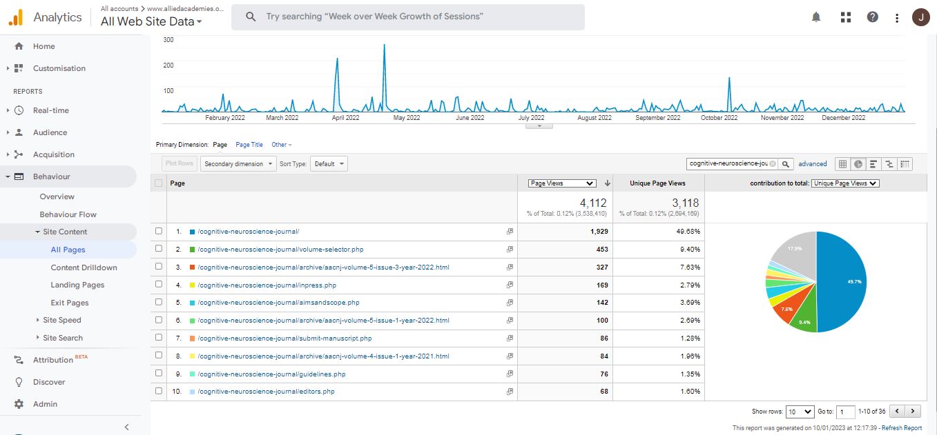 Visitor Analysis Report