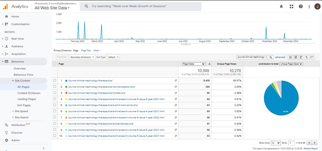 Visitor Analysis Report