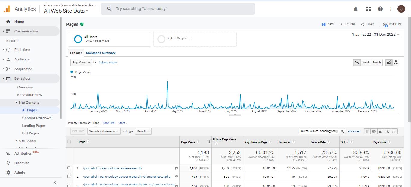 Visitor Analysis Report