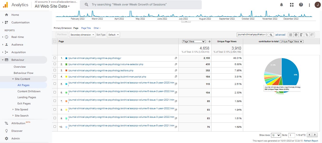 Visitor Analysis Report