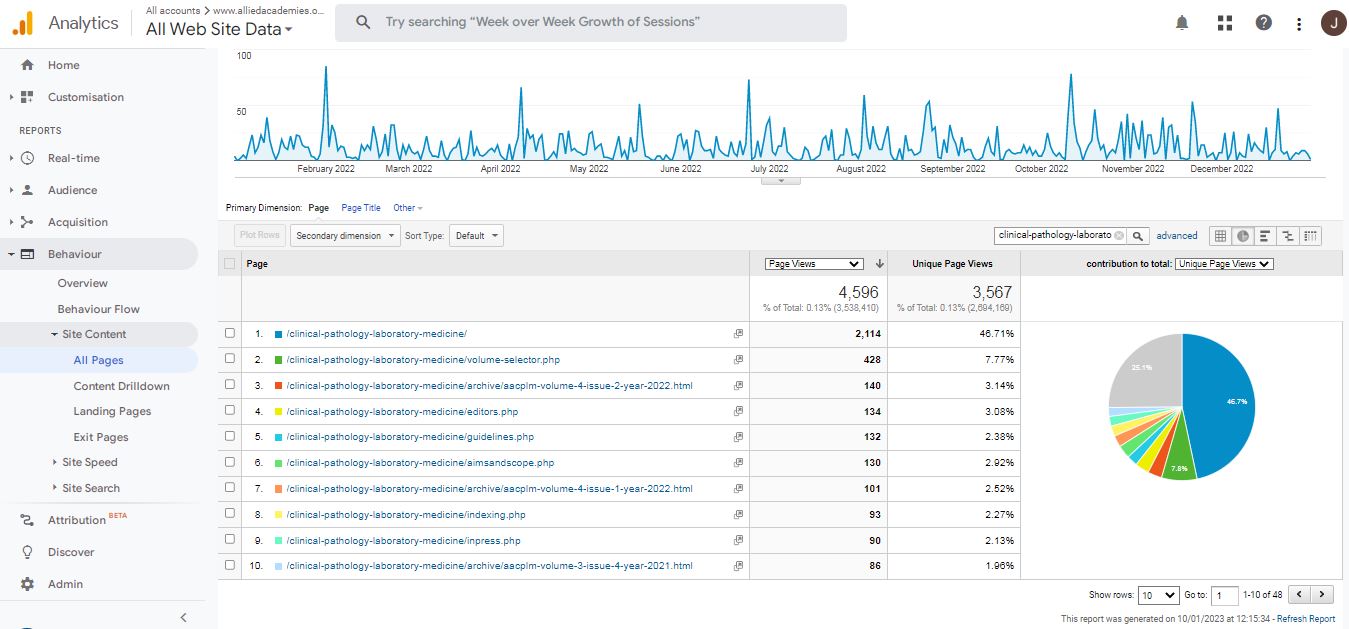 Visitor Analysis Report