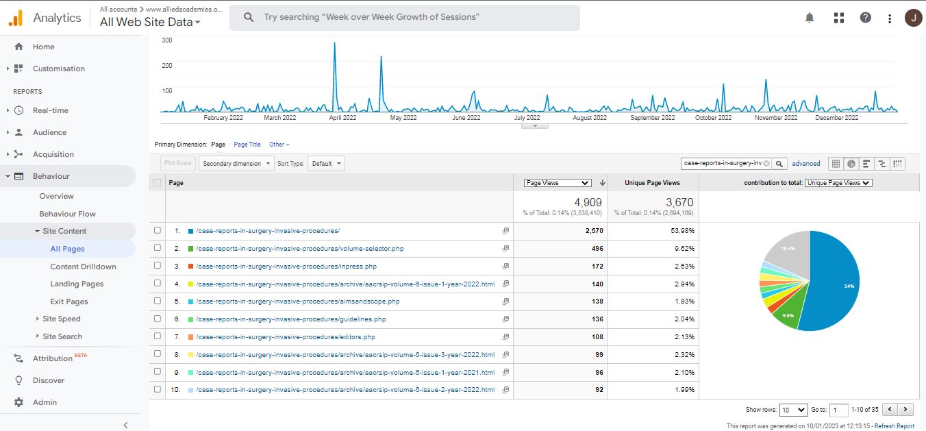 Visitor Analysis Report