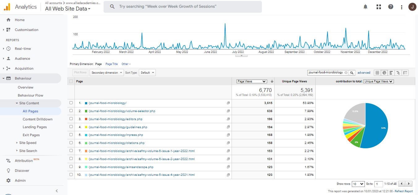 Visitor Analysis Report