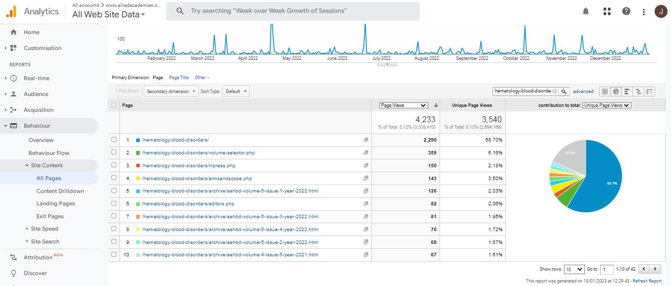 Visitor Analysis Report