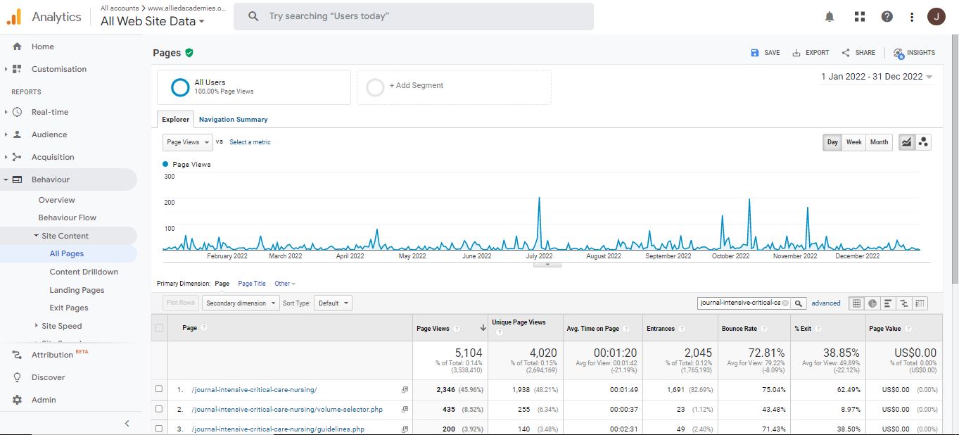 Visitor Analysis Report