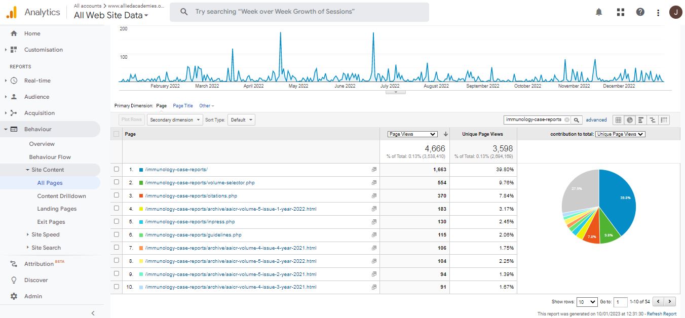 Visitor Analysis Report