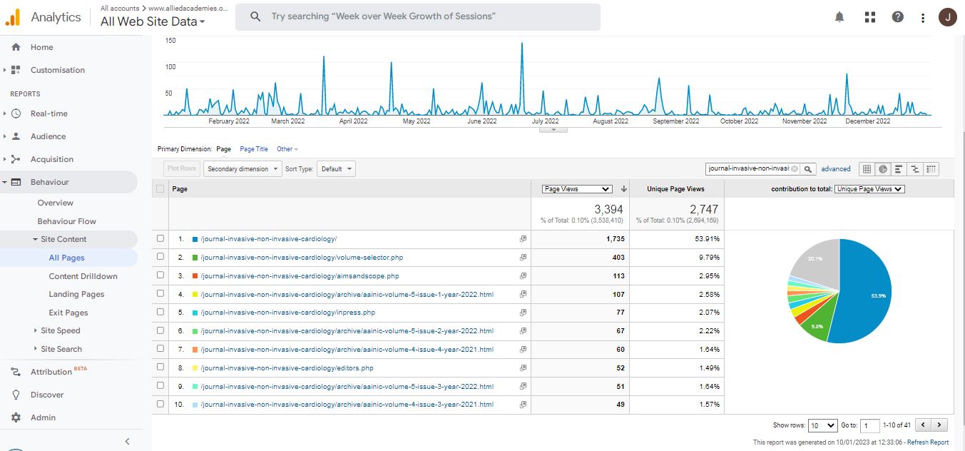 Visitor Analysis Report