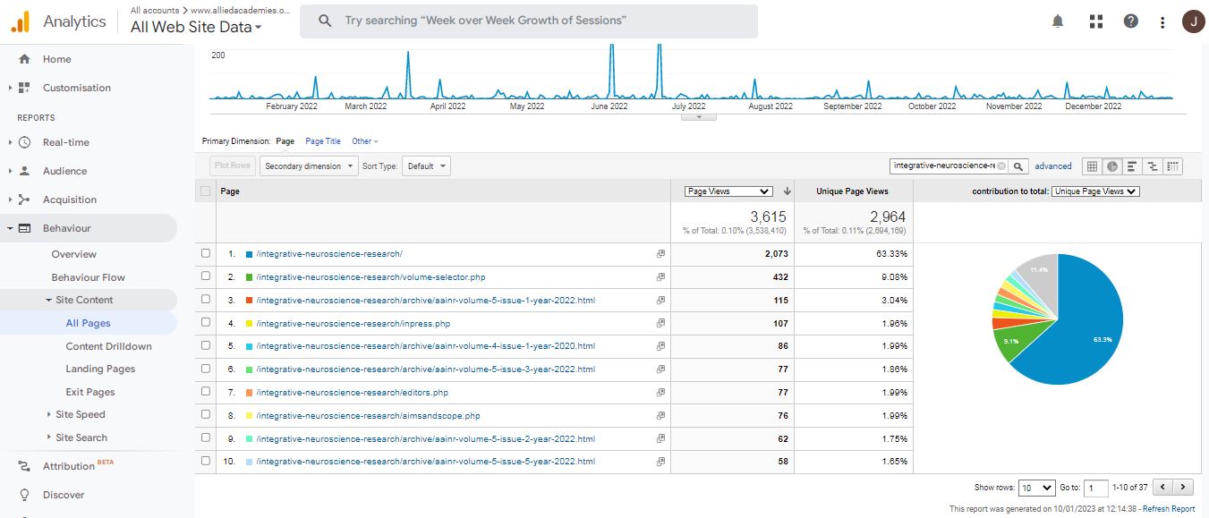 Visitor Analysis Report