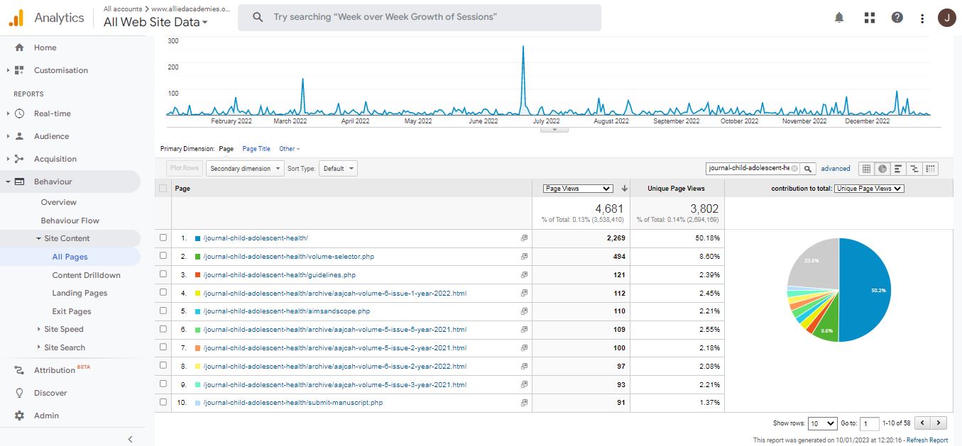 Visitor Analysis Report