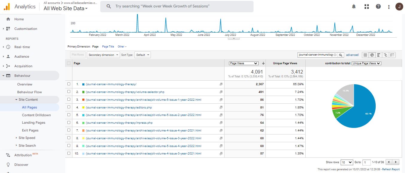 Visitor Analysis Report