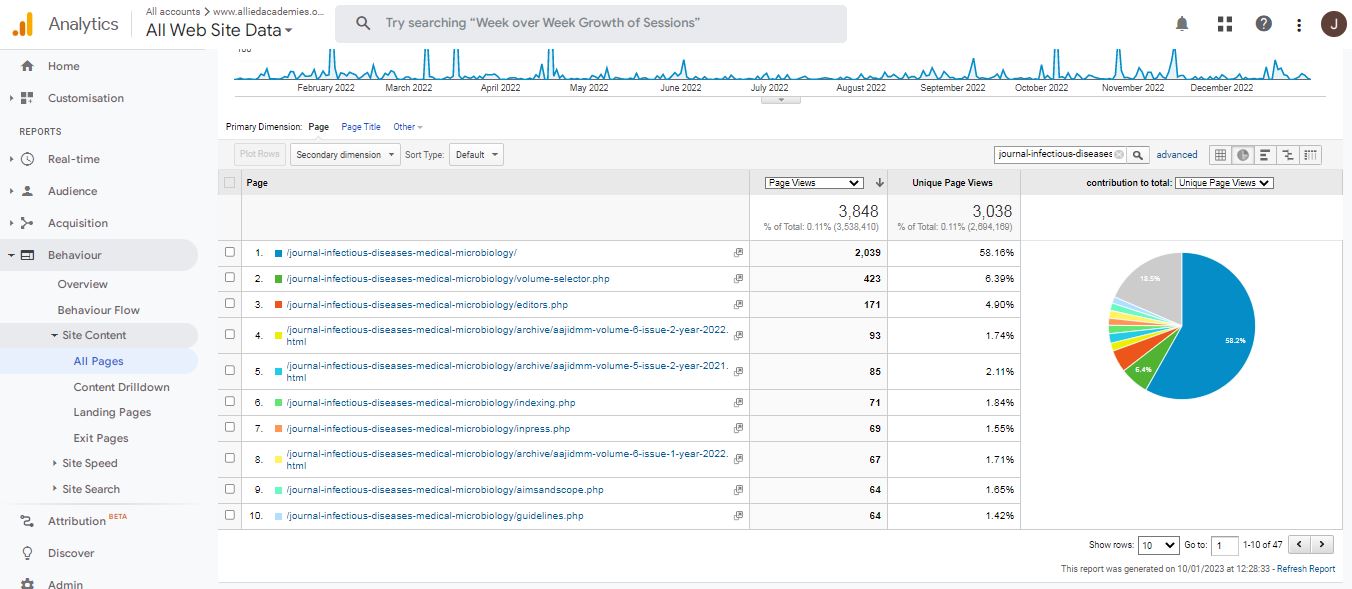 Visitor Analysis Report