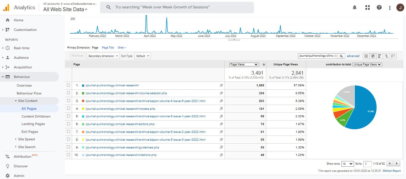 Visitor Analysis Report