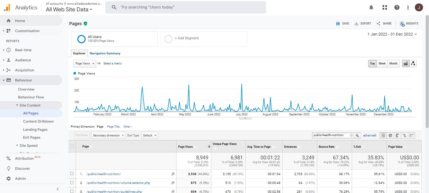 Visitor Analysis Report