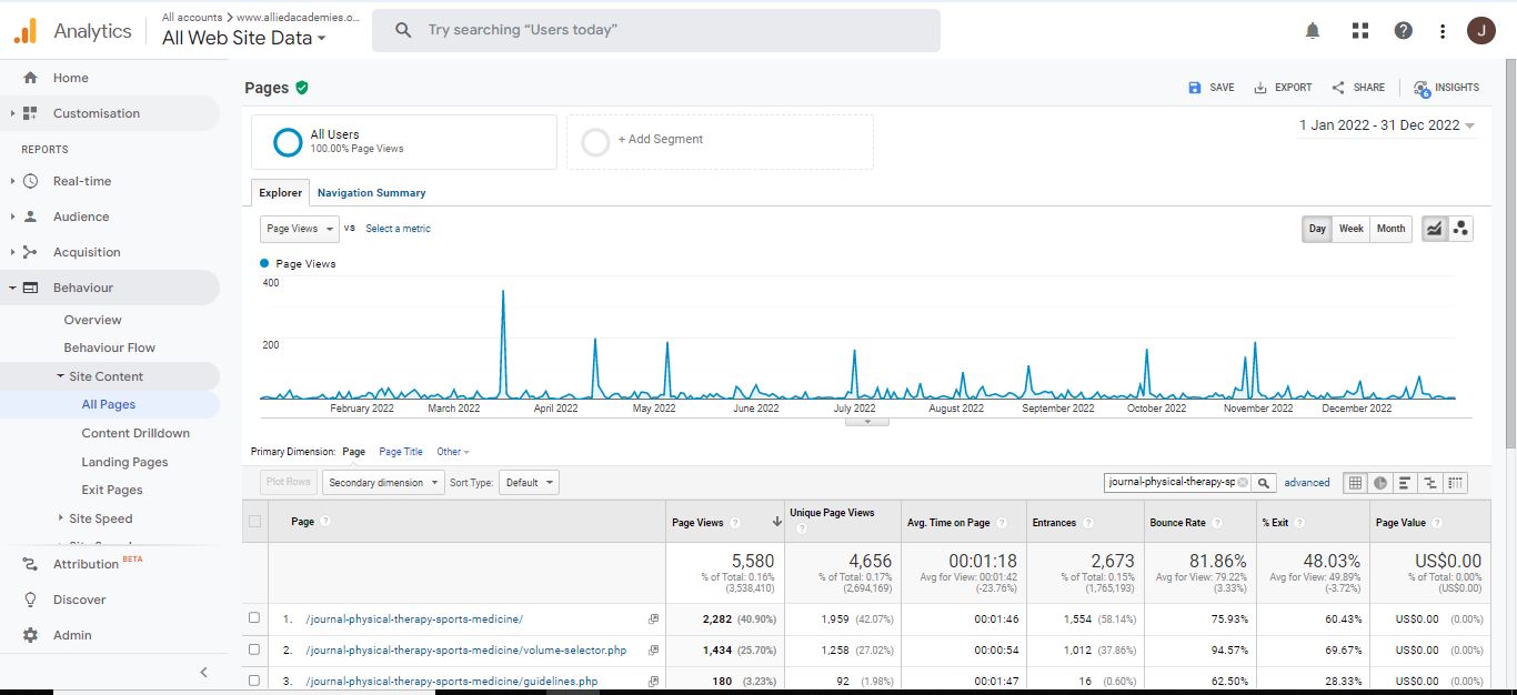 Visitor Analysis Report