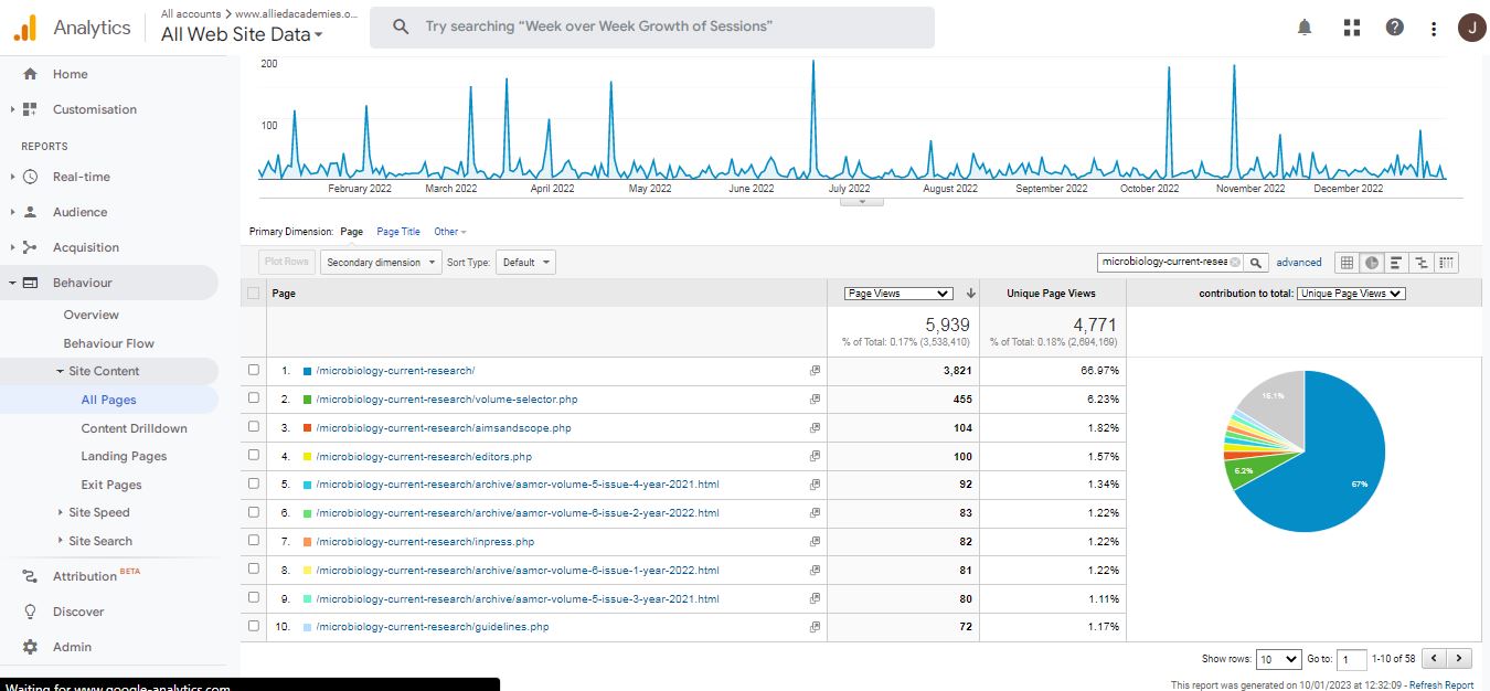 Visitor Analysis Report