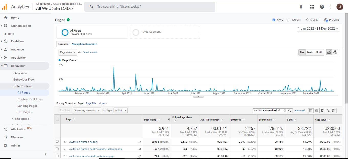 Visitor Analysis Report