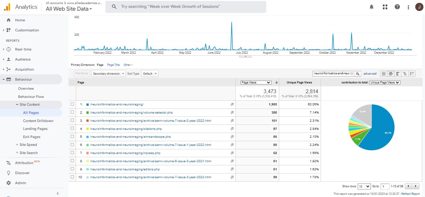 Visitor Analysis Report