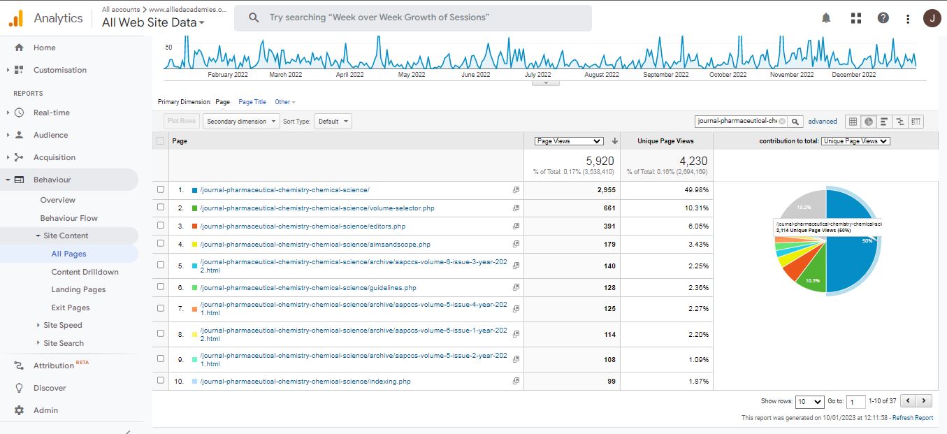 Visitor Analysis Report