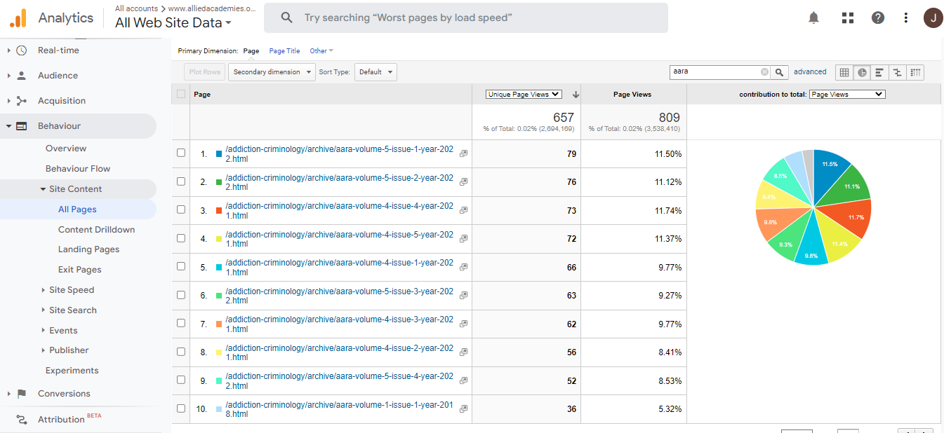 Visitor Analysis Report