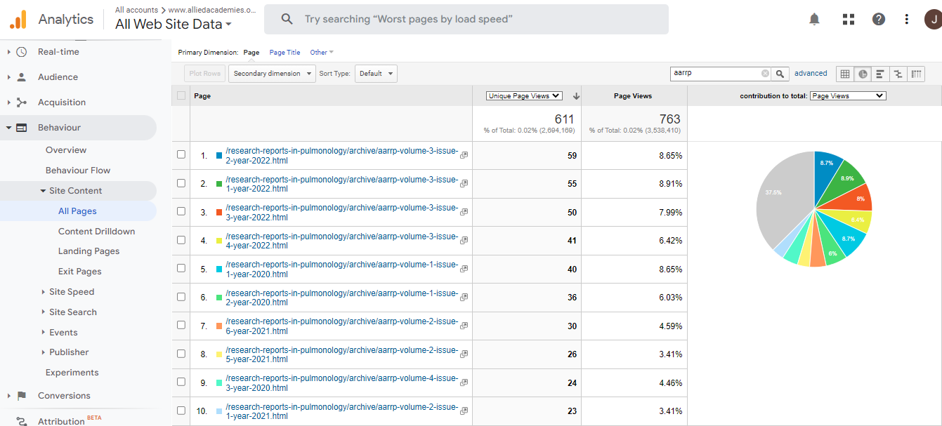 Visitor Analysis Report