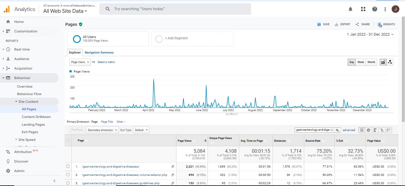 Visitor Analysis Report