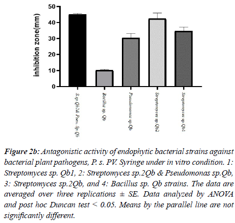 agricultural-science-botany-antagonistic