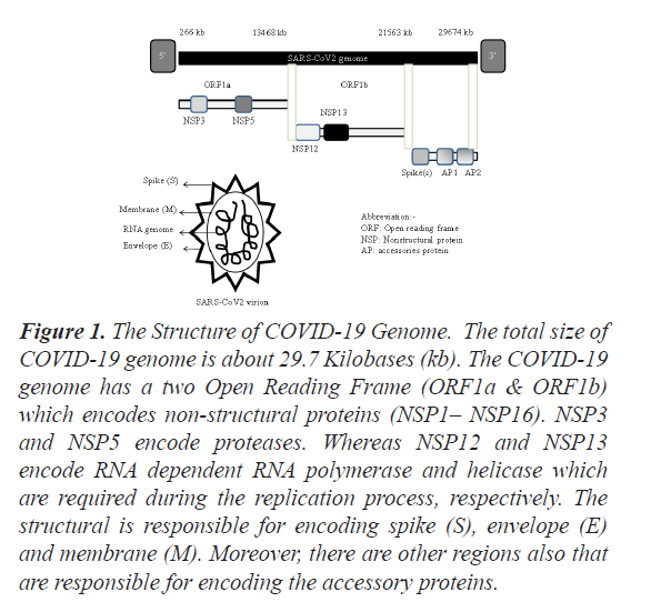 biochemistry-biotechnology-Kilobases