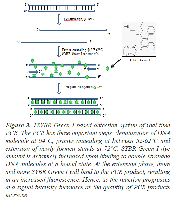 biochemistry-biotechnology-primer