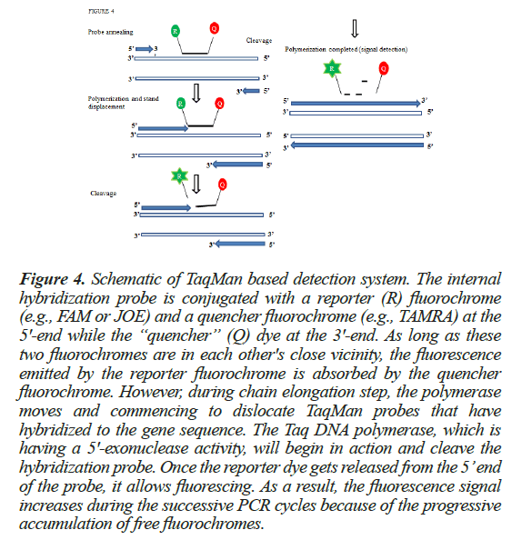 biochemistry-biotechnology-probes