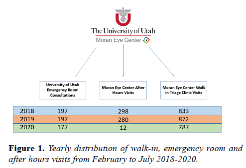 clinical-ophthalmology-emergency