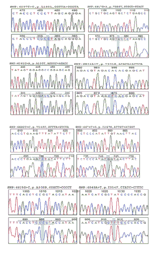 current-pediatric-chromatogram