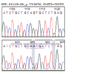 current-pediatric-chromatogram