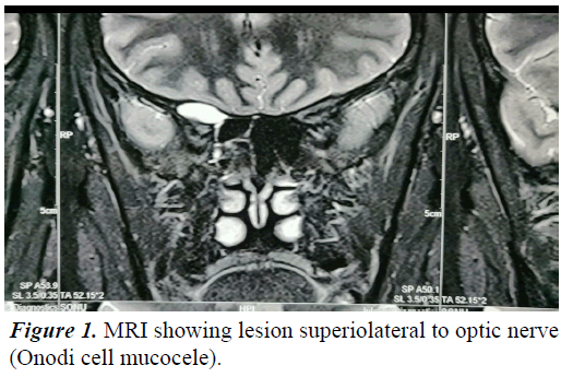 experimental-toxicology-superiolateral