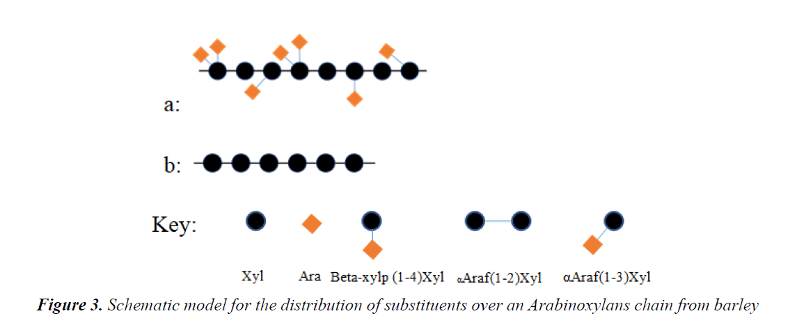 food-technology-Arabinoxylans